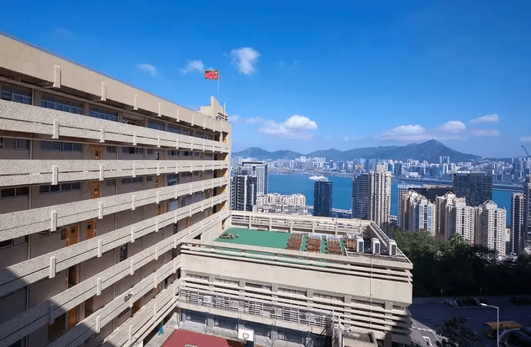 香港教育专家来访青苗,叶祖贤先生出任青苗 DSE项目专家顾问 香港教育专家来访青苗,叶祖贤先生出任青苗 DSE项目专家顾问
