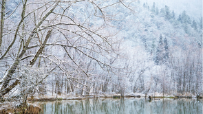 湖北鹤峰：雪落河畔 初春诗笺