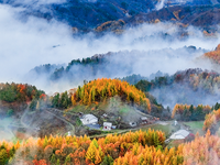 惊艳！神农架“红坪画廊”现云雾美景