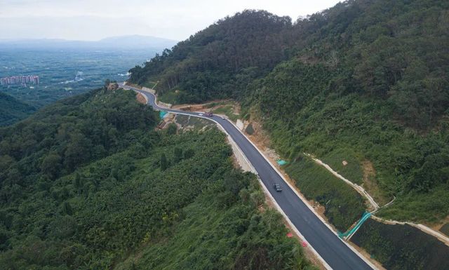 海南又开通一条旅游公路！466公里，这次是看热带雨林