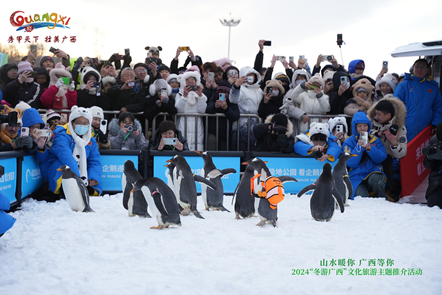 2024“冬游广西”文化旅游主题推介活动在哈尔滨举行