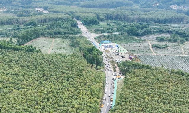 海南又开通一条旅游公路！466公里，这次是看热带雨林