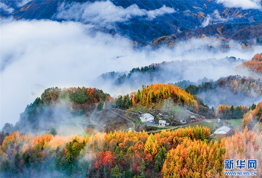 惊艳！神农架“红坪画廊”现云雾美景