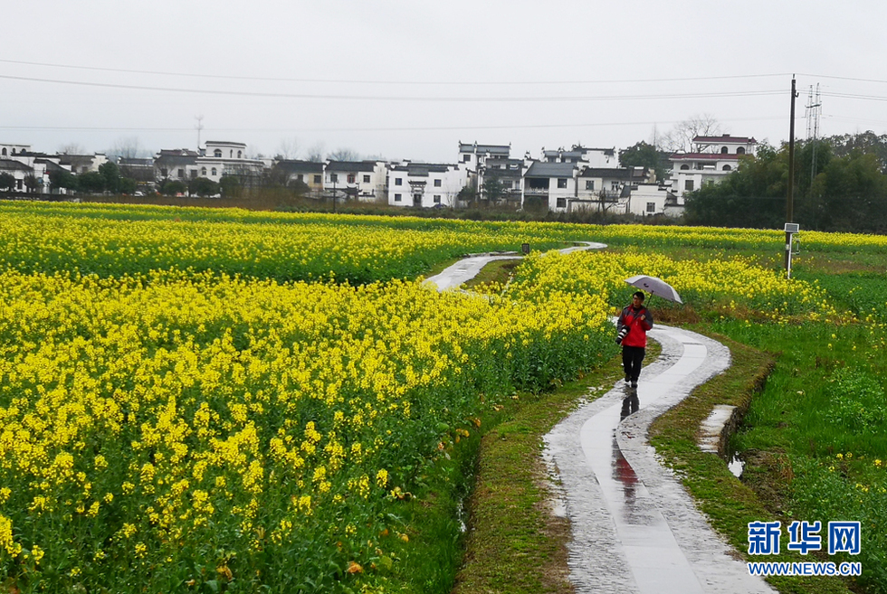 安徽：江南烟雨天 南屏花似海