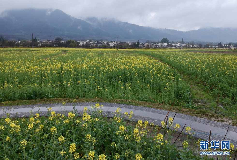 安徽：江南烟雨天 南屏花似海