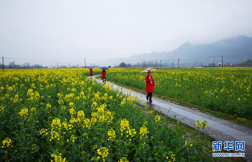 安徽：江南烟雨天 南屏花似海