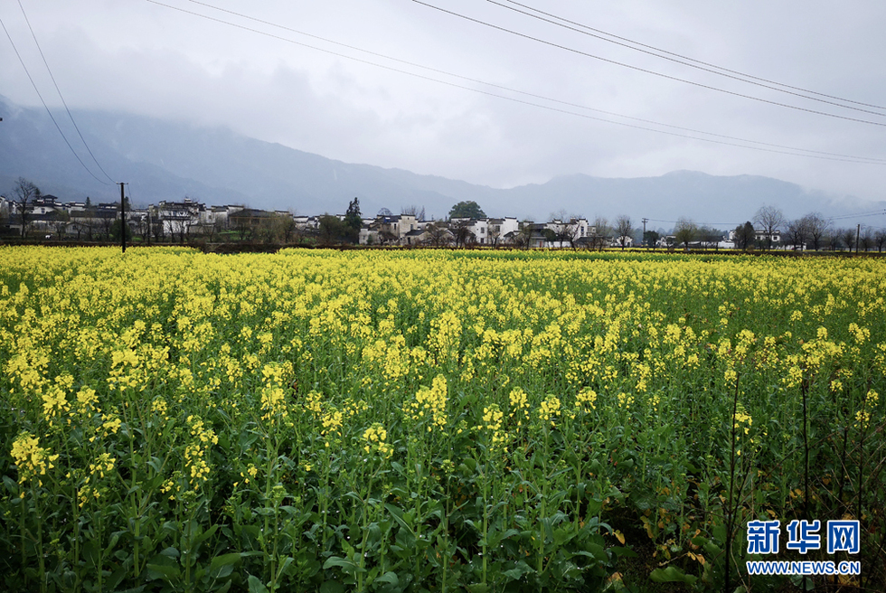 安徽：江南烟雨天 南屏花似海