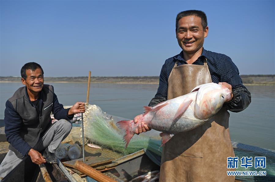 鄱阳湖：人欢鱼跃冬捕忙