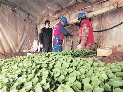 防疫生产两兼顾 确保“两手都要赢”——四平市安全有序推进复工复产侧记