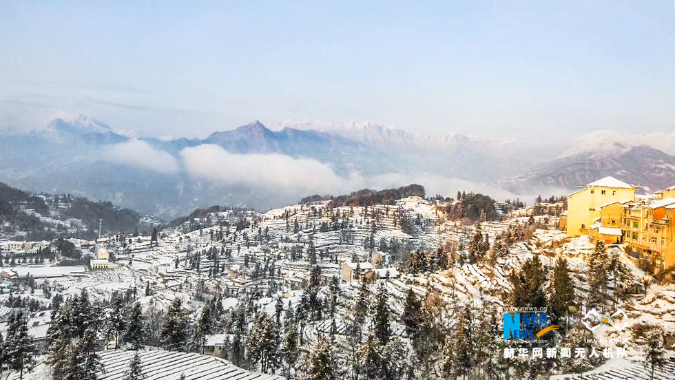 湖北宜昌：雪后茶乡分外美