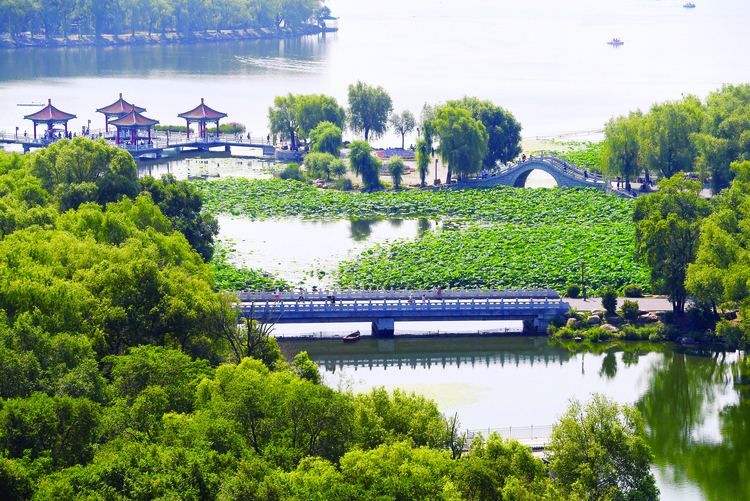 长春南湖公园休闲娱乐街区：碧湖如诗画 荷香扑面来