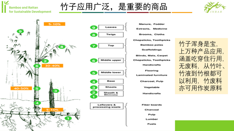 The 15th C2030 Salon | Green Power of Bamboo and Rattan_fororder_竹藤5