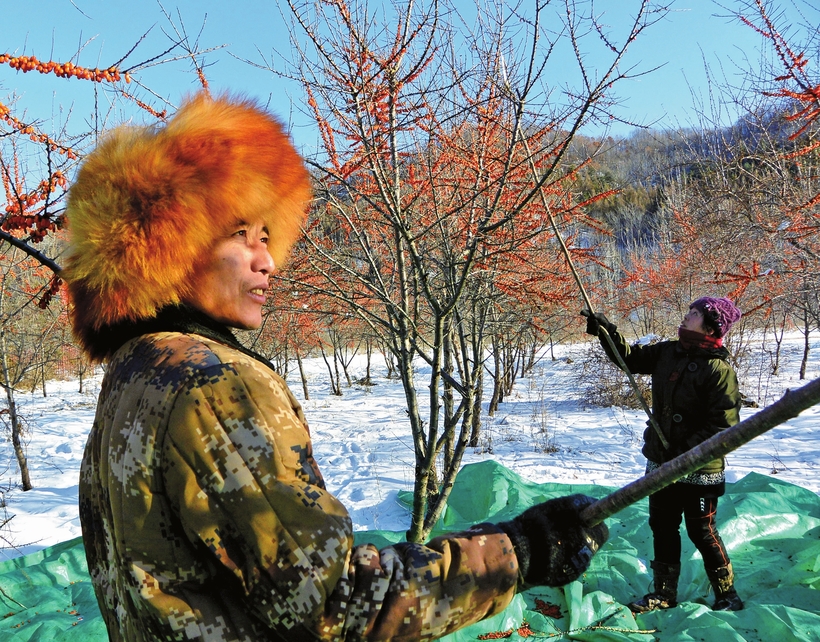 白山市建设中国绿色有机谷·长白山森林食药城走笔