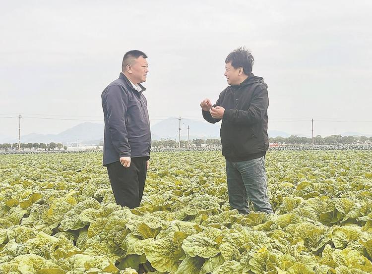 泉州惠安：废壳“催”良田 沃土“掘”碳汇