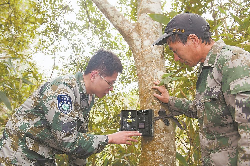 福建推进智慧林业工程建设 绿水青山有了智慧化打开方式