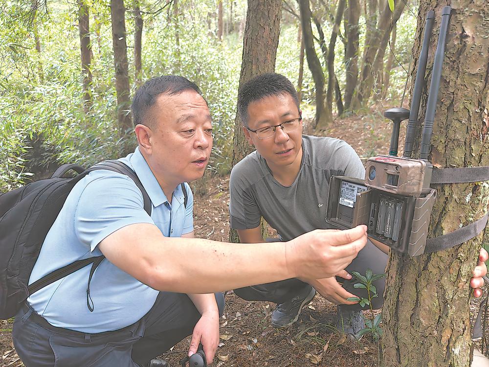 探秘“闽中屋脊”领略生态之美