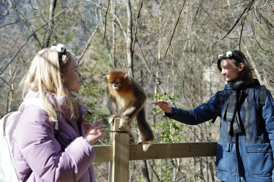 Captured Moments of Love in Aba: Baihe National Nature Reserve