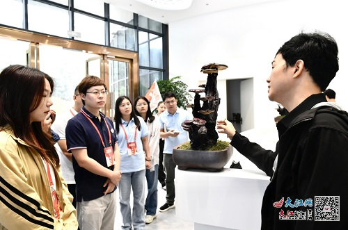 【不忘来时路 奋进新征程】林下有好货 一朵灵芝拓展循环林业发展之路