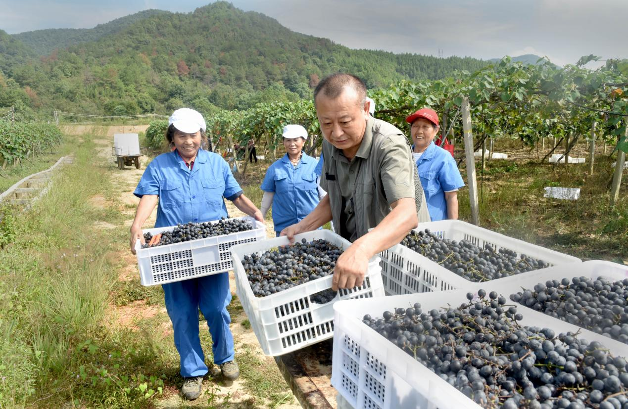 景德镇市乐平市：商海弄潮儿 家乡反哺者