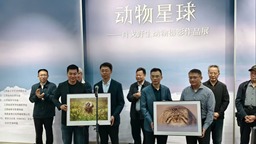 动物星球——肖戈野生动物摄影作品展在江西省文联举办 展出88幅收藏级作品