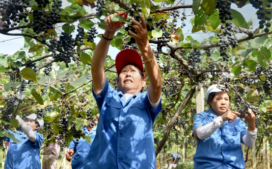 景德镇市乐平市：商海弄潮儿 家乡反哺者