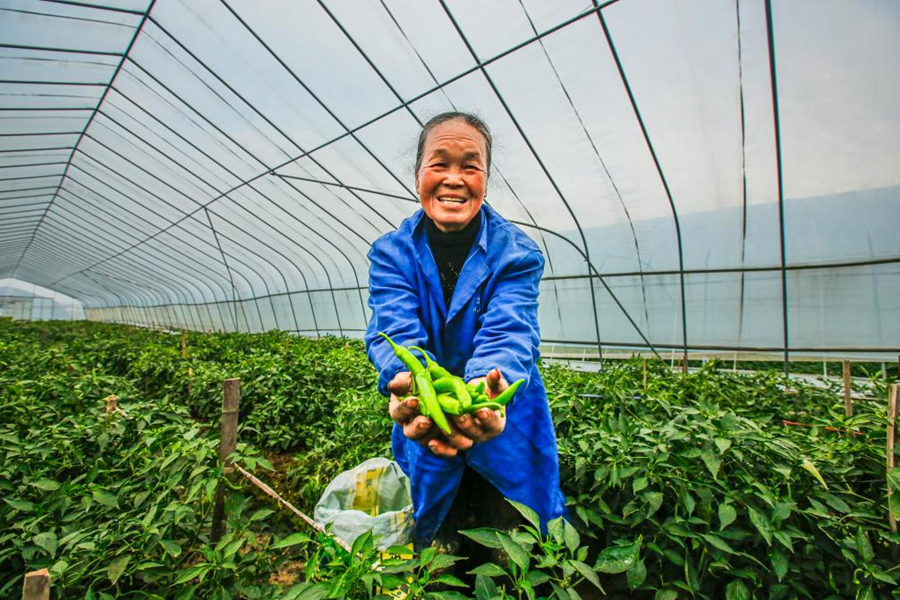 江西是个好地方丨摄影名家走进高安 见证一个辣椒和一片瓷砖的故事