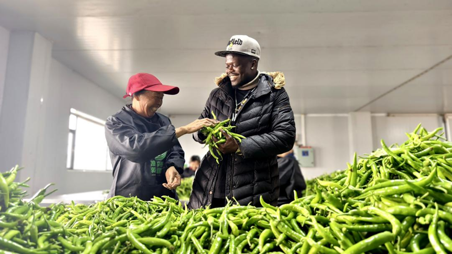 江西是个好地方丨摄影名家走进高安 见证一个辣椒和一片瓷砖的故事