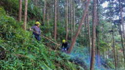 赣州信丰县金盆山林场：让绿色成为乡村振兴的最美底色