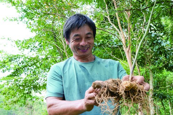 江西铜鼓县花山林场：深化林改促“绿富”双赢