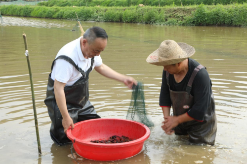 萍乡湘东：驻村就要“住”进百姓心里