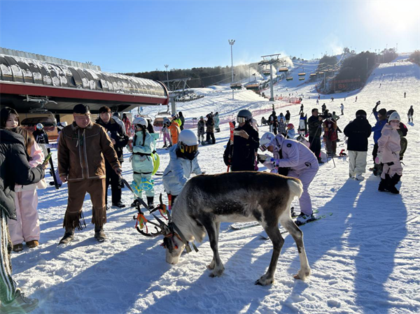 今冬沈阳推出300余项活动 邀您畅玩冰雪季