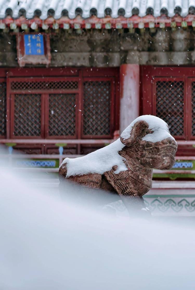 雪后沈阳故宫 大片上新