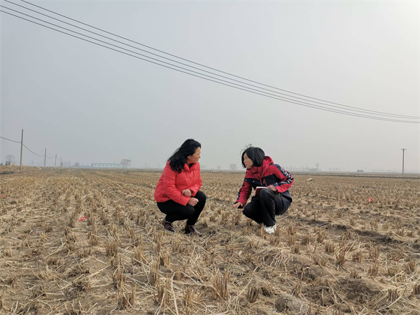 营口市人大常委会着力发挥人大代表作用 提升社会治理效能