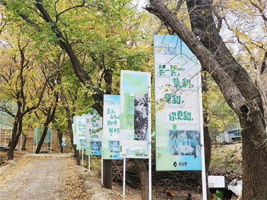 和美乡村 沈阳画卷 | 丁家房镇：艺术赋能乡村振兴 家乡风物收获“乡愁流量”