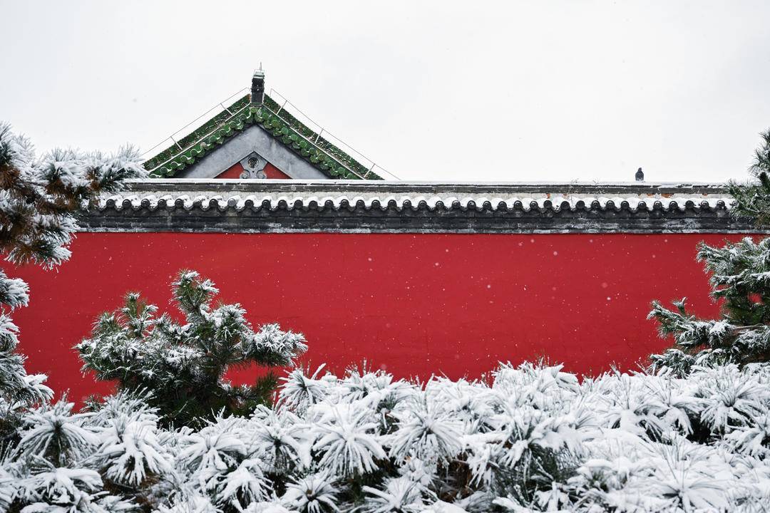 雪后沈阳故宫 大片上新