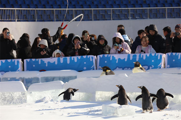 沈阳金玫瑰冰雪演艺大世界暨沈河区第一届中小学趣味冰雪运动会启动