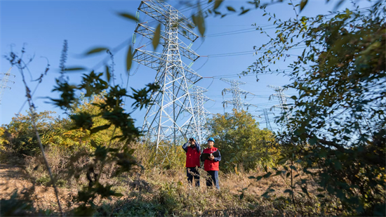 国网辽阳供电公司“地毯式排查”防山火 保电力安全