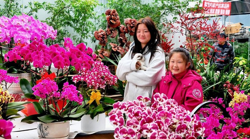 葫芦岛：花卉市场春意浓