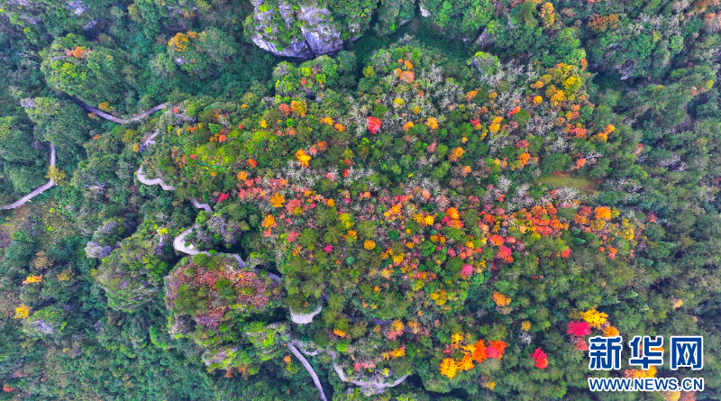 湖北恩施：红花峰林 冬景如画