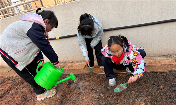 华师武汉新城实验小学：校园里的种植区 孩子们的“成长田”