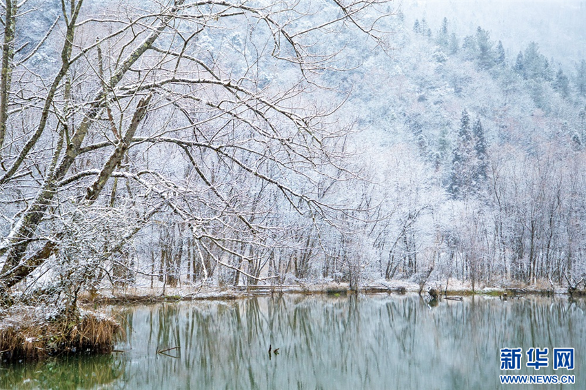 湖北鹤峰：雪落河畔 初春诗笺_fororder_微信图片_20250221092835