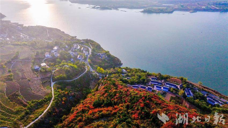 湖北十堰：南水北调水源区红叶映山村