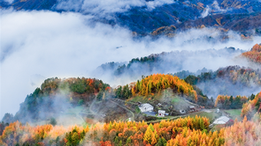 惊艳！神农架“红坪画廊”现云雾美景