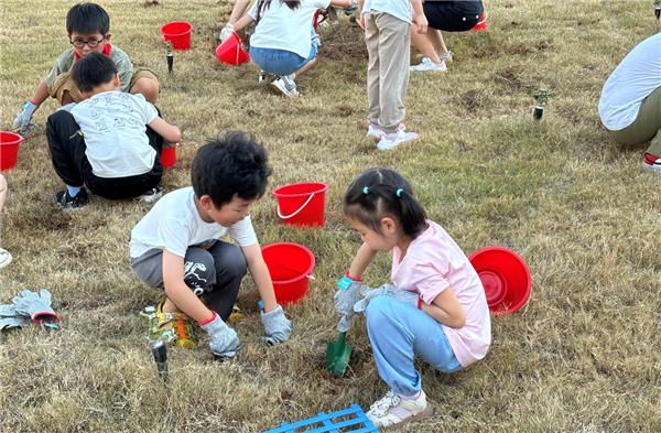 华师武汉新城实验小学：校园里的种植区 孩子们的“成长田”