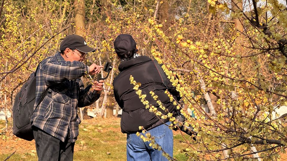 春节在武汉怎么玩？这80项文旅活动愿你巳巳如意