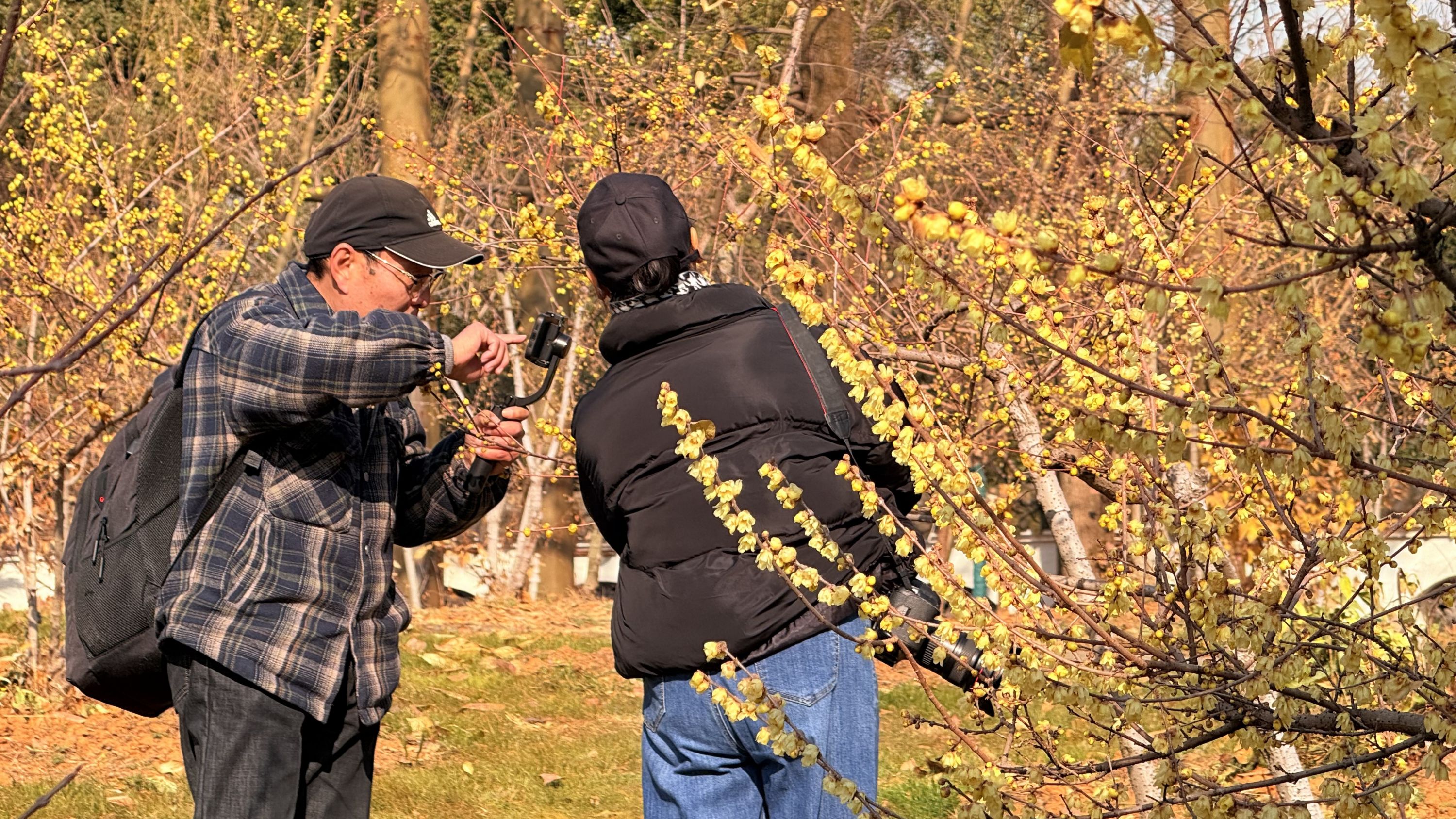 春节在武汉怎么玩？这80项文旅活动愿你巳巳如意