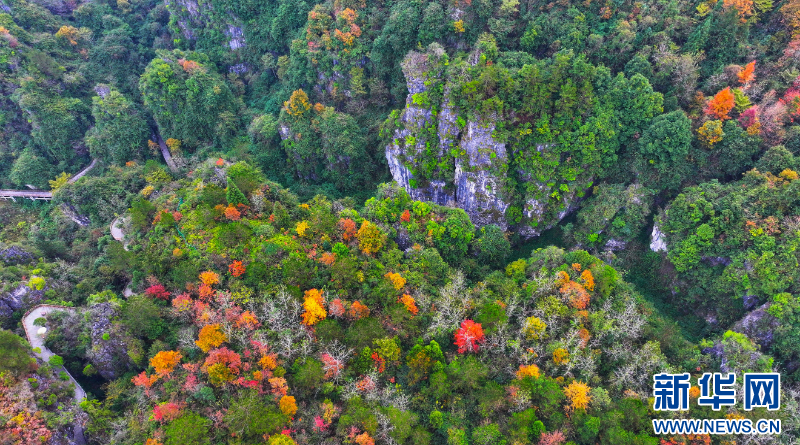 湖北恩施：红花峰林 冬景如画