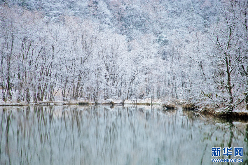 湖北鹤峰：雪落河畔 初春诗笺_fororder_微信图片_20250221092806