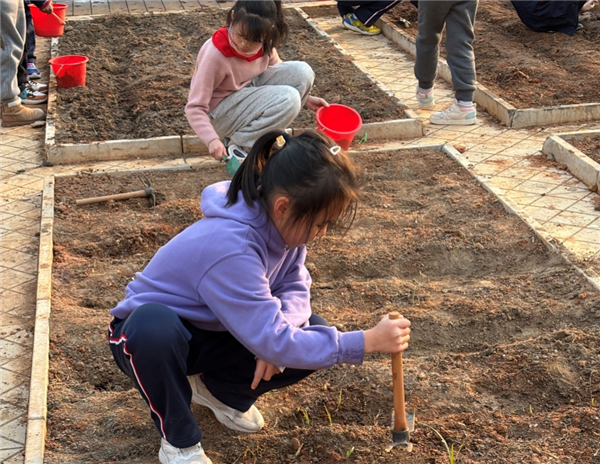 华师武汉新城实验小学：校园里的种植区 孩子们的“成长田”