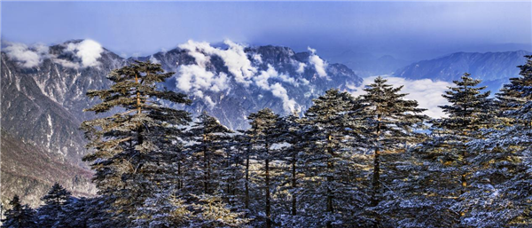 湖北神农架冬季旅游产品发布会在武汉举行